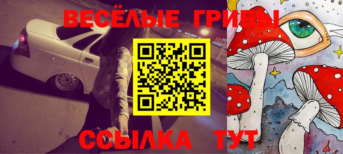 купить наркотик  Псилоцибиновые грибы Psilocybine cubensis  Вход с VPN  Холмск 