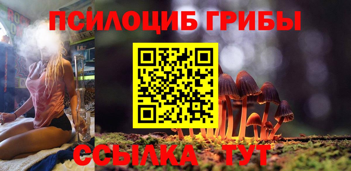Галлюциногенные грибы Psilocybe Холмск