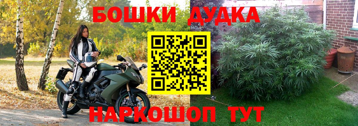 Марихуана план  Канабис план  Холмск  Вход с VPN 